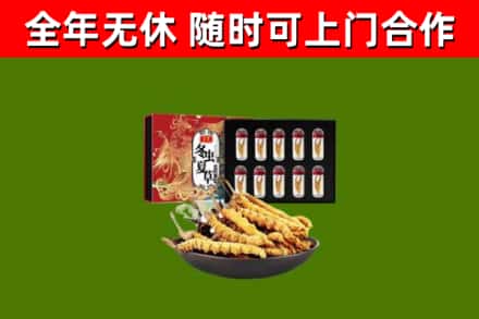 章贡回收冬虫夏草价格