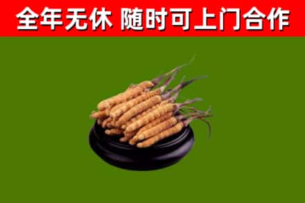 章贡回收冬虫夏草