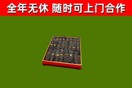 章贡回收海参